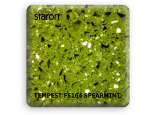 tempestfs164spearm.jpg
