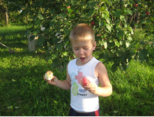 ���� 602.jpg