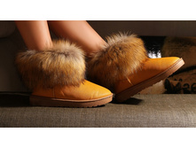 WN036	790	���	36,37,38,39,40