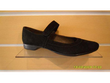 204  ���.��� ��� ������