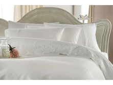 ��� E*V*I*N ����