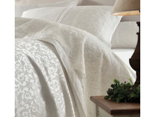 ��� D*O*N*N*A + ���������