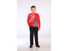 ������� ���������.JPG