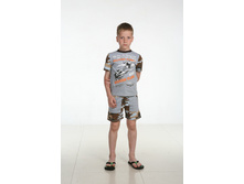 ������ ������