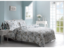 ��� CO*LET*TE ����