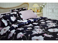 ��� CL*AR*IS ������