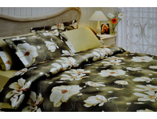 ��� CL*AR*IS �������2