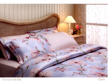 ��� CL*AR*IS �������