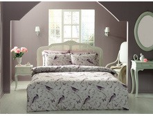 ��� BI*R*DS �������