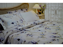 ��� CL*AR*IS �������