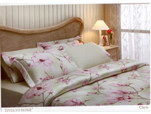 ��� CL*AR*IS �������