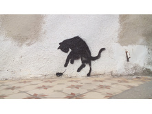 �����-�����