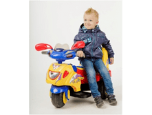 No 5*81 ������ �/� "���*����"