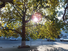 ������� �������