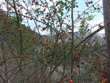 ��� ����� � �������! (�)