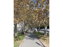 ��������. ������ ������ � �������.