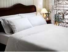 ��� CL*ARI*SA �����