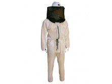 X500A0811 Bee �������� �������.jpg