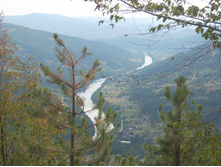 ���� �����