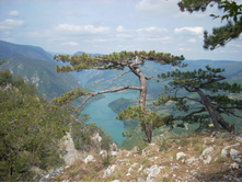 ���� ����