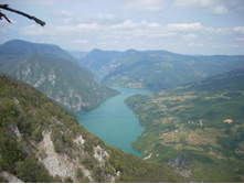 ���� ����