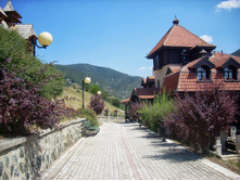 �� ������� ����� ����