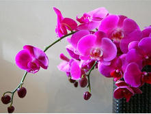 40fd34.jpg