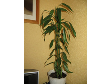 ������.�� �������.������� ������� � ����