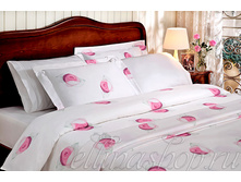 ��� Be*l*la Pembe �������� ����������� �����+��������� ����