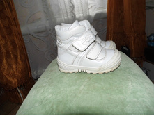 ������ ��������� ����� ���� �� �������� ����� 23 � 550 ������