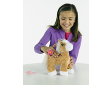 1135 � + ��� %