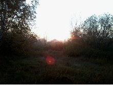 ����0195.jpg