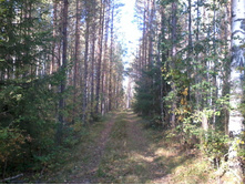 ����0222.jpg