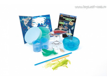 ��������� ���: ������������ ������_E2015N_����_729,32 ���.