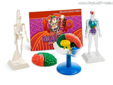 ��������� ���: �������� ���������_E2594N_����_658,27 ���.