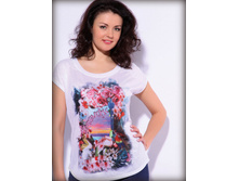 34327.  540 ��� +%