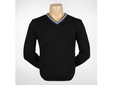 1119v ������.jpg