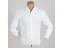 519c �����.jpg