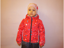 ������ <<�����>> (�������������)   ���. 0125/19/35