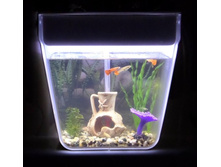 Ib4C9JYCiPs.jpg