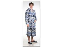 big_cat_6d9af54c16df44a8bd2942f37d1afff5.png
