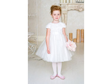 1*6*5*9*1*6. ������ 882���