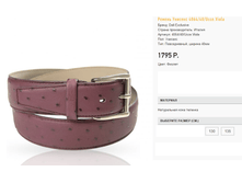 40)64-40-ucce vi)ola 1795 ��.png