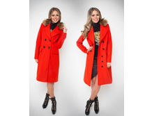 ������ ���� 4200