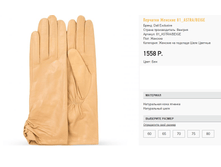 81 as))tra ��� 1558 ��.png