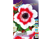 3,83���. ������� �������.jpg