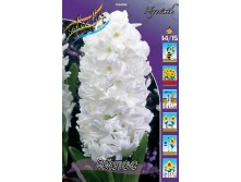 25,68���. ������� ����� 17-18.jpg