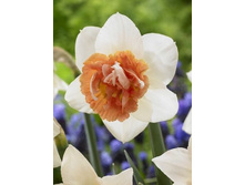 18,98���. ������� ����� ��������.jpg