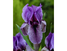 59,9���. ���� ��������.jpg