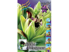 82,36���. ����� ������� ��������.jpg